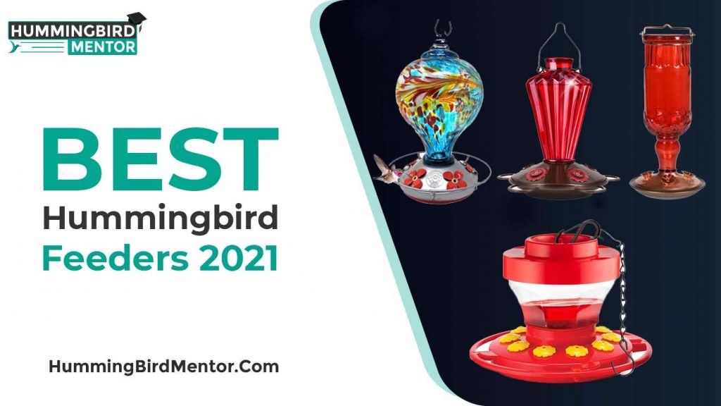 Best hummingbird feeders 2021
