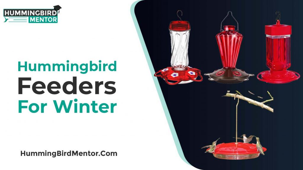 hummingbirrd feeder for winter 2021